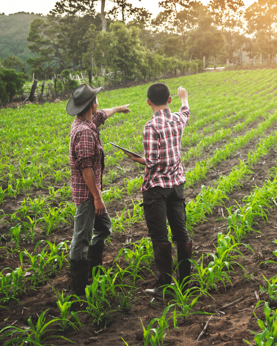 Support for Farmers and Small Producers